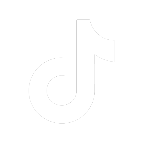 TikTok Icon
